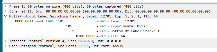 Wireshark MPLS single tag